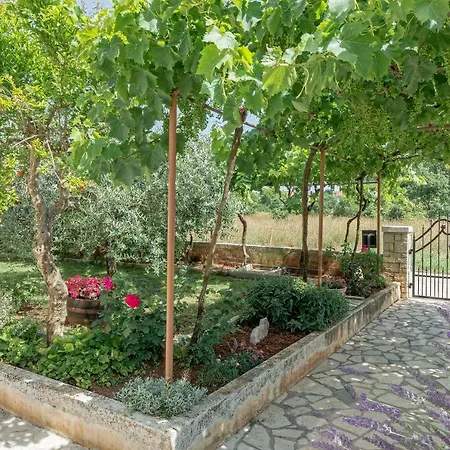 Apartman Inga Апартаменты Пула